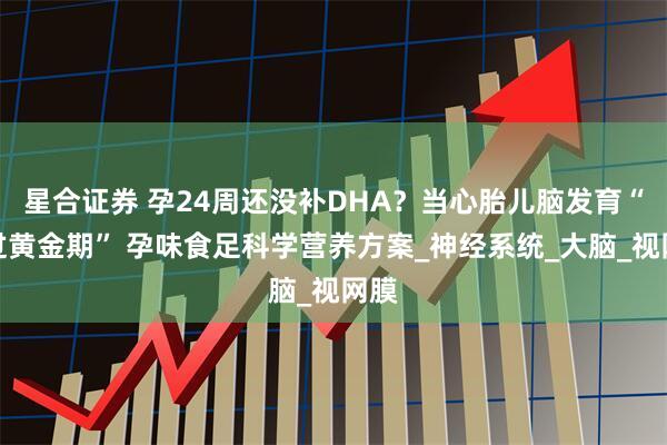 星合证券 孕24周还没补DHA？当心胎儿脑发育“错过黄金期” 孕味食足科学营养方案_神经系统_大脑_视网膜