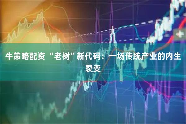牛策略配资 “老树”新代码：一场传统产业的内生裂变